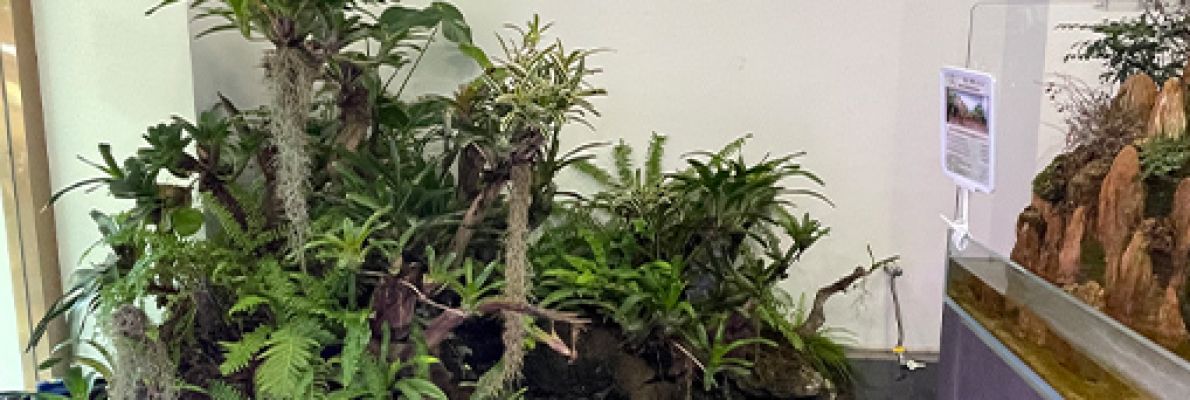 Funky roots