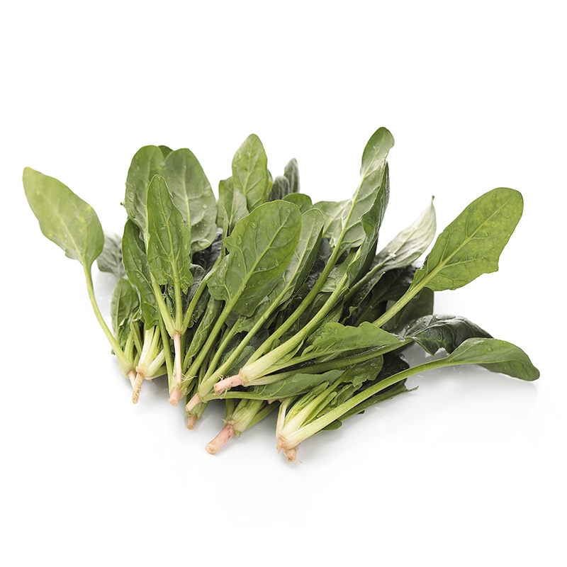 新鲜菠菜