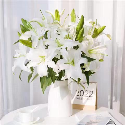 香水百合花云南供货鲜花水养插花赠保险剂