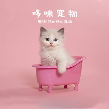 猫（2kg~6kg）洗澡 除菌去异味 呵护皮肤 持久芬芳