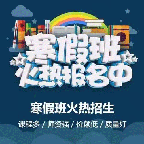 寒假班14h（含材料5000元）更加完善的课程设计 专业指导