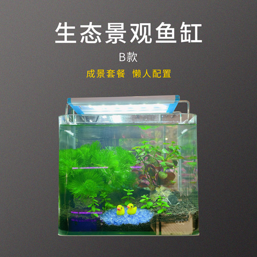 水族箱小型免换水生态造景鱼缸B款 优美玻璃鱼缸 