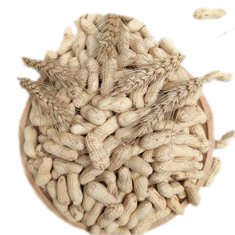 【精挑细选】新鲜好花生 香脆美味大颗饱满