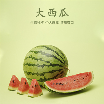 【新鲜采摘】大西瓜  生态种植 个大肉厚 清甜爽口 