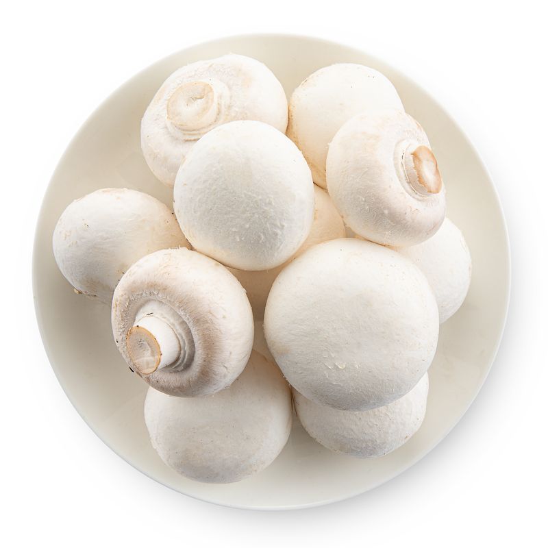 白蘑菇
