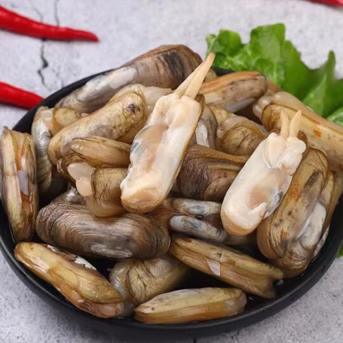蛏子鲜活蛏王海蛏子肥嫩活发带壳无污染新鲜蛏子 500g