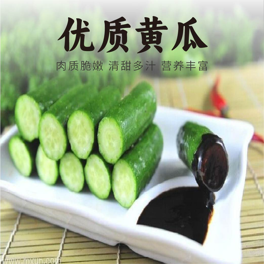 超低价就能带走一口下去爽脆爆汁的黄瓜