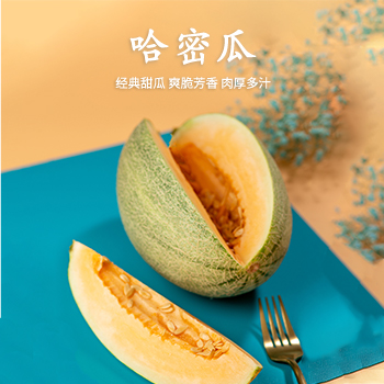 西州蜜瓜精品哈密瓜经典甜瓜 爽脆芳香浓郁肉厚多汁