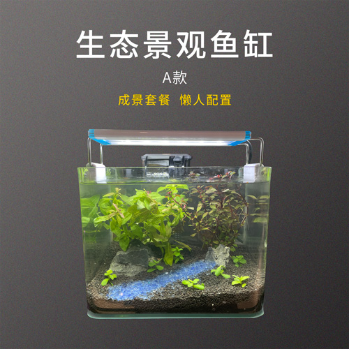 水族箱小型免换水生态造景鱼缸A款 成景套餐懒人配置不含小鱼