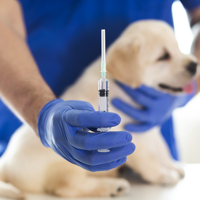 【精选套餐】狂犬疫苗套餐 专业服务让您放心