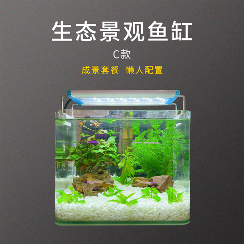 水族箱小型免换水生态造景鱼缸C款 省心省力 懒人配置