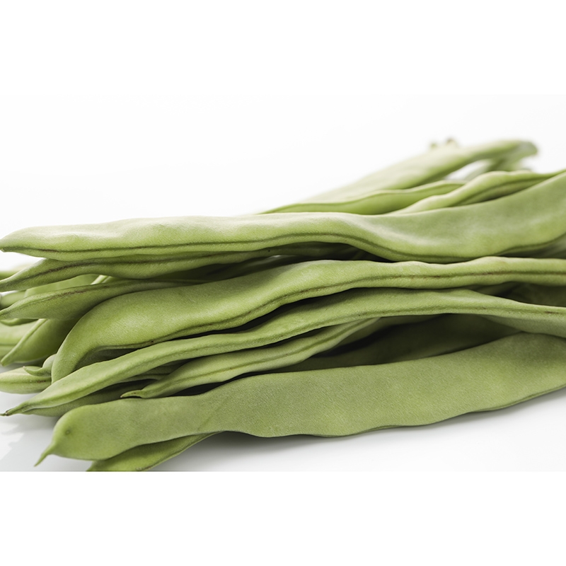 长缸豆