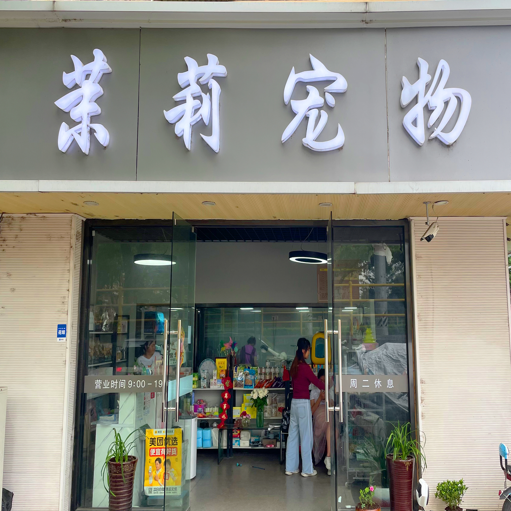 茉莉宠物