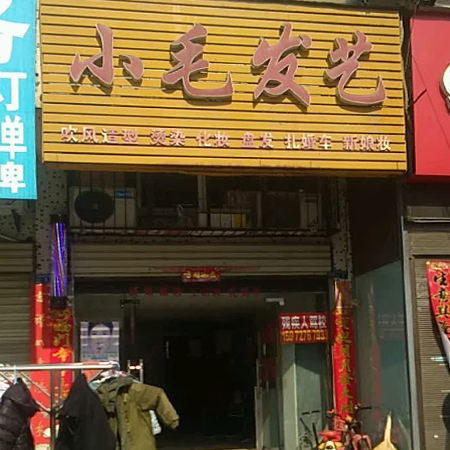 小毛发艺
