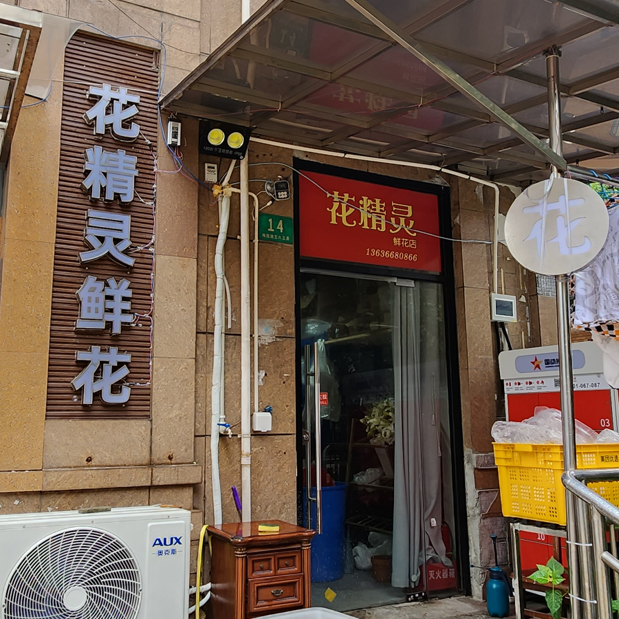 花精灵鲜花